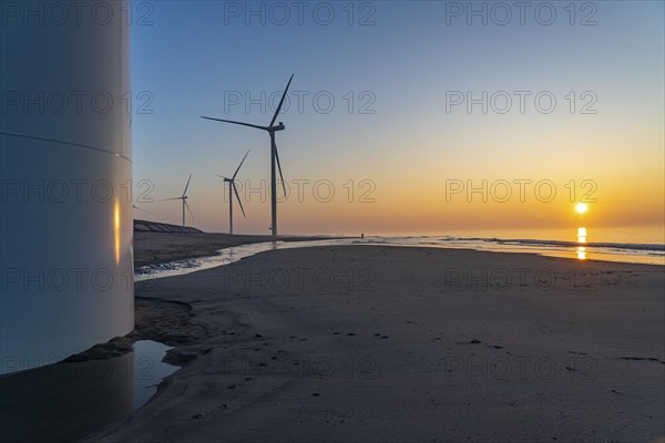ENECO wind farm on the dike around the harbour Maasvlakte 2, 22 wind turbines with a capacity of 116 megawatts, sunset, Rotterdam, Netherlands