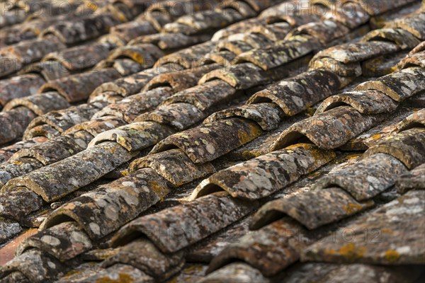 Old roof tiles, roof, old, moss, texture, background, graphic, building, dilapidated, surface, close up, Tuscany, Italy, Europe