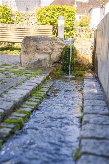 Picture of a small fountain with flowing water. Paving stones and greenery in the background, Gundringen, Nagold, Black Forest, Germany, Europe