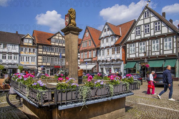 Fountain on the Großer Plan in the old town centre with typical half-timbered houses, Celle, Lüneburg Heath, Lower Saxony, Germany, Europe