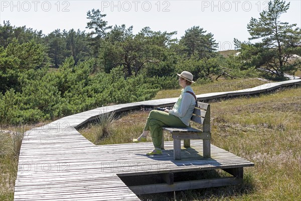 Elderly, woman sitting on bench, wooden footbridge, reed grass, trees, circular hiking trail, nature reserve, Darßer Ort, Born a. Darß, Mecklenburg-Western Pomerania, Germany, Europe
