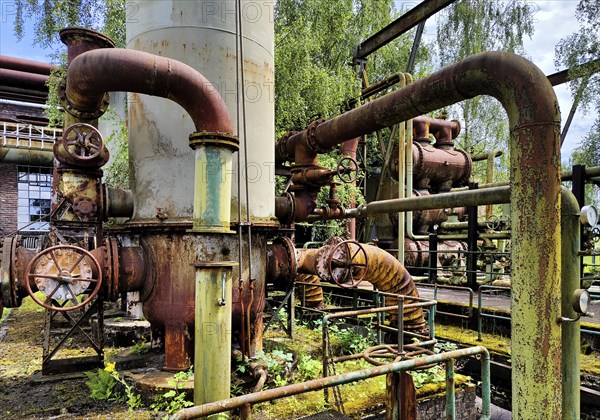 Architectural and industrial monument Hansa coking plant, industrial nature, lost place, Dortmumd, Ruhr area, North Rhine-Westphalia, Germany, Europe