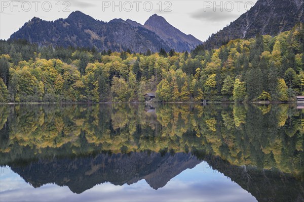 Freibergsee lake in autumn, near Oberstdorf, with the Allgäu Alps behind it, Allgäu, Bavaria, Germany, Europe