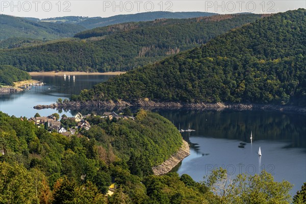 View from above the village of Woffelsbach, to the east, of Lake Rursee, Eifel National Park, North Rhine-Westphalia, Germany, Europe