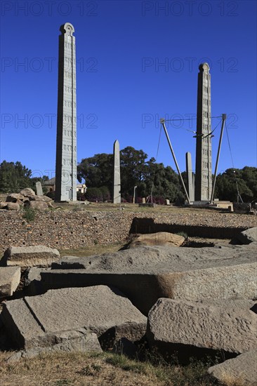 Tigray region, in the stele park of Axum, Aksum, ancient cemetery of the Axumite kings, Ethiopia, Africa