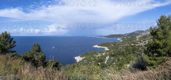 Catamaran sailing along the coast, island of Hvar, Dalmatia, Croatia, Europe