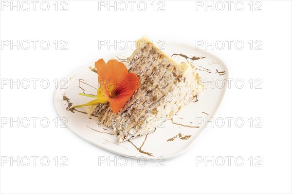 Walnut and almond cake isolated on white background. side view, close up