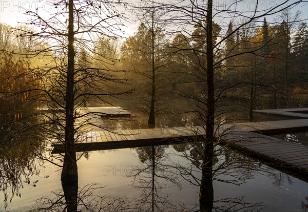 The Grugapark, Essen, botanical garden, park for leisure and recreation, by the forest lake, wooden walkways, autumn, Essen, North Rhine-Westphalia, Germany, Europe