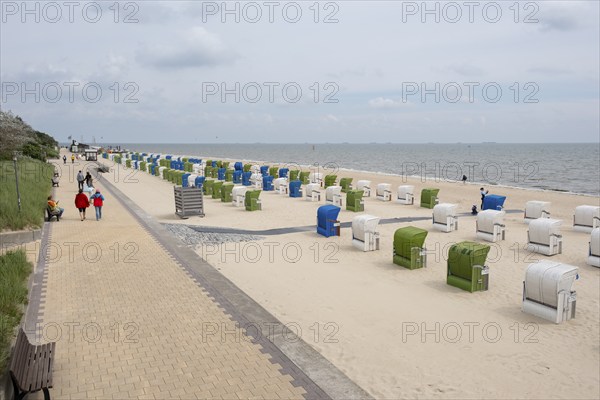 Beach chairs in a row on the beach, North Sea coast, Wyk, Föhr, North Sea island, North Frisia, Schleswig-Holstein, Germany, Europe
