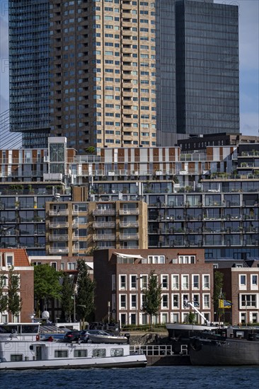 Harbour basin of the Maashaven, inland waterway port, jetties, residential buildings in the Kop van Zuid and Katendrecht district, almost all buildings have been built or rebuilt in recent years, popular residential area, structural change, Rotterdam, Netherlands