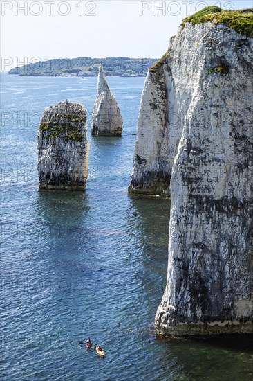 White Cliffs of Old Harry Rocks Jurassic Coast, Dorset Coast, Poole, England, United Kingdom, Europe