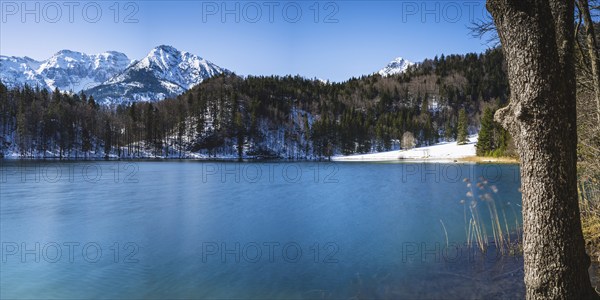 Alatsee, Ostallgäu, Allgäu, Swabia, Bavaria, Germany, Europe