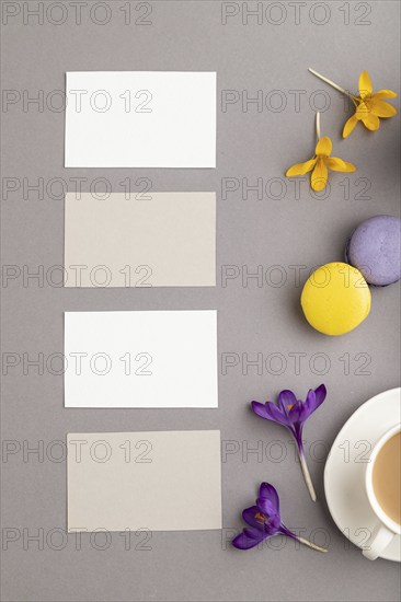 Gray and white business card mockup with spring snowdrop crocus flowers, cup of coffee, multicolored macaroons on gray pastel background. Blank, business card, top view, flat lay, copy space, still life. spring concept