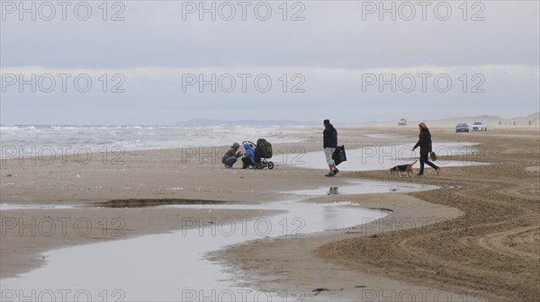Family visits the sandy beach on a windy day in early spring in Blokhus, Jutland, Denmark, Scandinavia, Europe