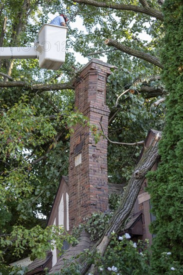 Detroit, Michigan, A storm with 70mph wind gusts blew down a 15-ton, 110-foot cottonwood, damaging three homes in the Morningside neighborhood. The storm cracked a tall brick chimney, threatening to send it crashing through the house. The chimney had to be dismantled brick by brick to prevent further damage