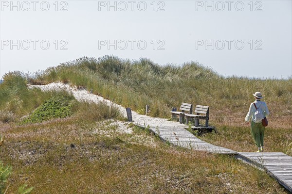 Wooden footbridge, benches, dunes, elderly woman, circular hiking trail, nature reserve, Darßer Ort, Born a. Darß, Mecklenburg-Western Pomerania, Germany, Europe