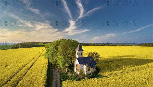 Agriculture, rape field, in full bloom, yellow, in it a small prayer chapel, aerial view, AI generated, AI generated
