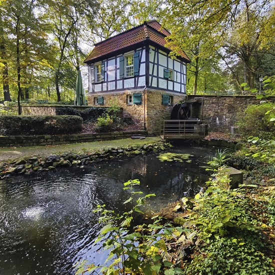 Lippholthausen Castle Mill, also known as Buddenburg Castle Mill, Lünen, Ruhr area, North Rhine-Westphalia, Germany, Europe
