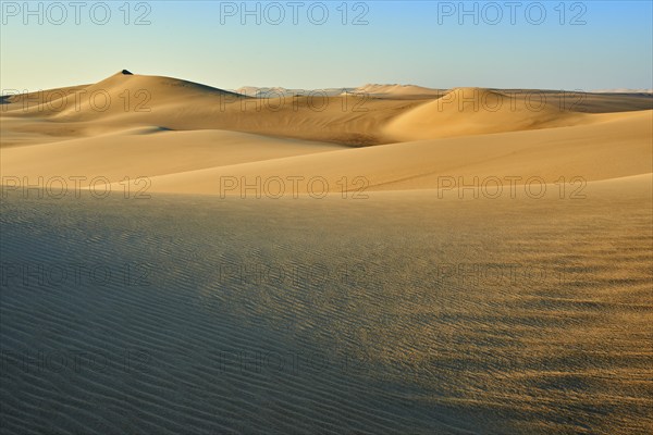 Endless sand dunes in a desert under a clear blue sky, Matruh, Great Sand Sea, Libyan Desert, Sahara, Egypt, North Africa, Africa