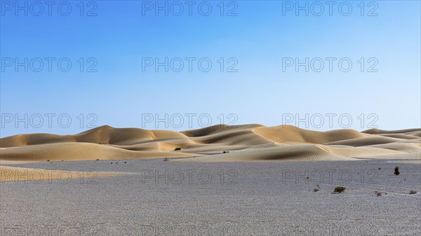 Wind-sculpted curved sand dunes in the Rub al Khali desert, Dhofar province, Arabian Peninsula, Sultanate of Oman