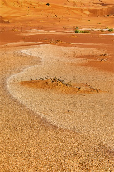 Sand structure formed by the wind, in the Rub al Khali desert, Dhofar province, Arabian Peninsula, Sultanate of Oman
