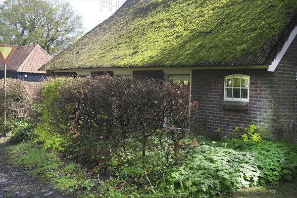 NL, Eesergroen: Spring characterises the landscape, towns and people in the province of Drenthe in the Netherlands. The picturesque village of Ees in Drenthe. NL, Eesergroen: Spring shapes the landscape, cities and people in the province of Drenthe in the Netherlands