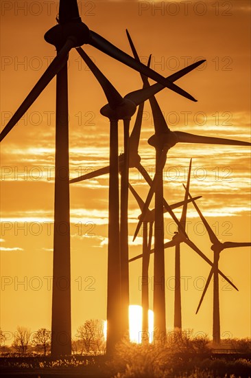 Wind farm near the East Frisian town of Norden, east of the town, sunset, Lower Saxony, Germany, Europe