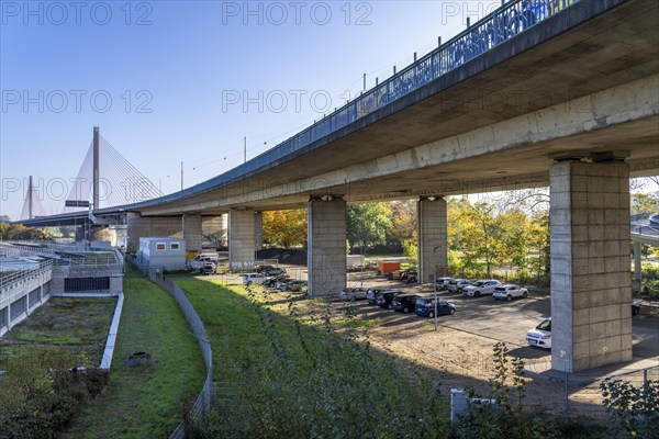 Friedrich Ebert Bridge over the Rhine near Bonn, also known as the North Bridge, motorway bridge on the A565, cable-stayed bridge, foreland bridges, North Rhine-Westphalia, Germany, Europe