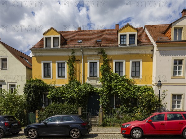 Listed Wieck House in Loschwitz, Friedrich-Wieck-Straße 10, Dresden Loschwitz, Dresden, Saxony, Germany, Europe