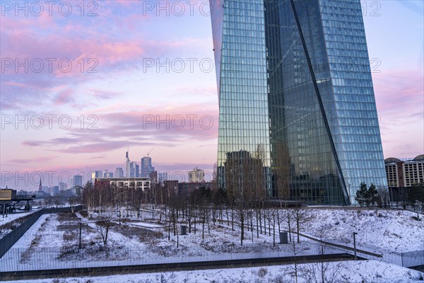 The skyline of Frankfurt am Main, skyscrapers of the banking district, building of the European Central Bank, ECB, wintry morning, Hesse, Germany, Europe