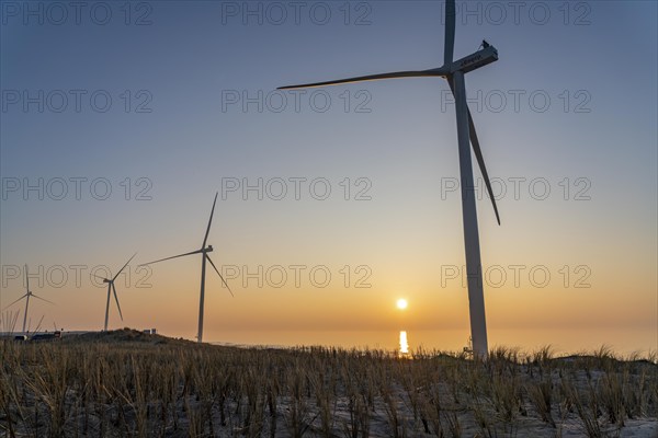 ENECO wind farm on the dike around the harbour Maasvlakte 2, 22 wind turbines with a capacity of 116 megawatts, sunset, Rotterdam, Netherlands