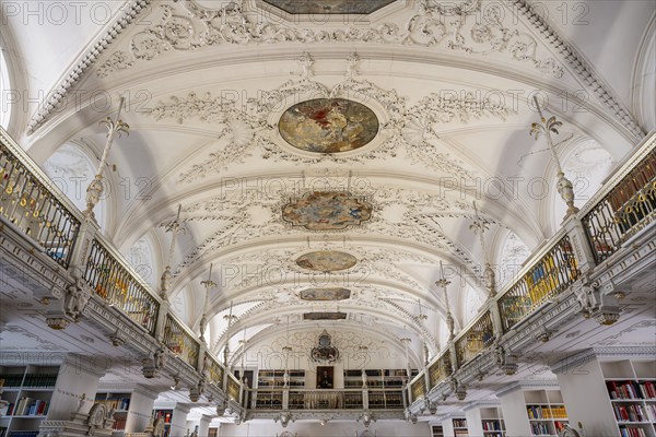 Richly decorated vault of the library, Salem Castle, former imperial abbey, former monastery of the Cistercian order, Salem, Lake Constance, Lake Constance district, Baden-Württemberg, Germany, Europe