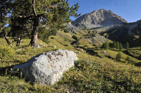 France, Mercantour National Park