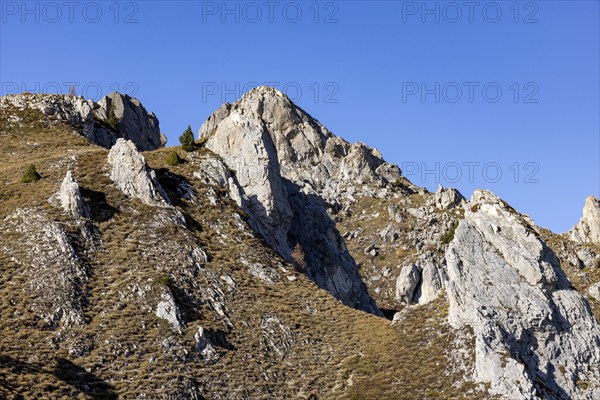Pierre Avoi, rocky peak above Verbier, Valais, Switzerland, Europe
