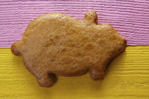 Mexican puerquito piggy shape pastry from Mexico