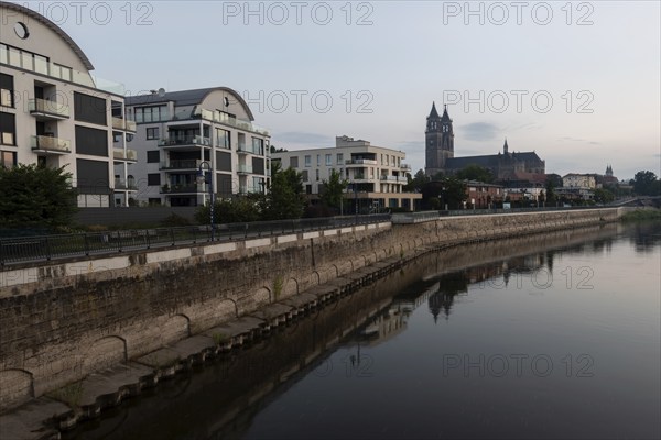 Magdeburg Cathedral, modern apartment blocks, banks of the Elbe, Magdeburg, Saxony-Anhalt, Germany, Europe