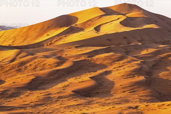 Wind-sculpted, curved, sand dunes in the Rub al Khali desert, Dhofar province, Arabian Peninsula, Sultanate of Oman