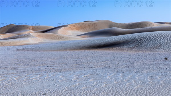 Wind-sculpted curved sand dunes in the Rub al Khali desert, Dhofar province, Arabian Peninsula, Sultanate of Oman