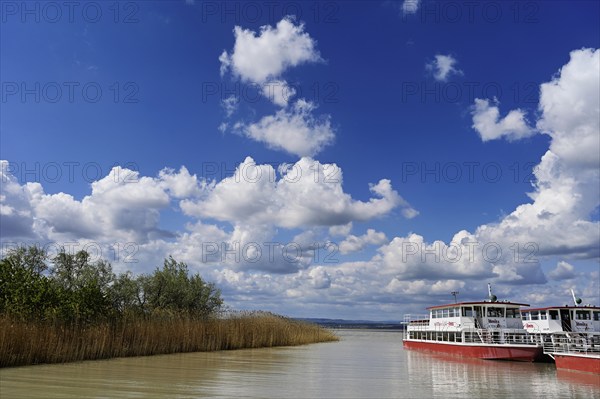 Bicycle ferry at the landing stage, Illmitz, National Park, Lake Neusiedl, Seewinkel, Burgenland, Austria, Europe