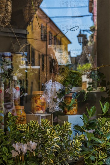 Reflection in a delicatessen, Tourism, Travel, Reflection, Holiday, Travel, Tourism, Italy, Europe