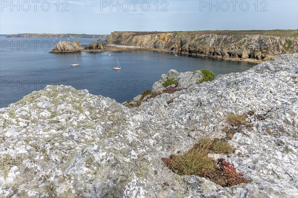 Landscape on the coast of the Iroise Sea. Camaret, Crozon, Finistere, Brittany, France, Europe