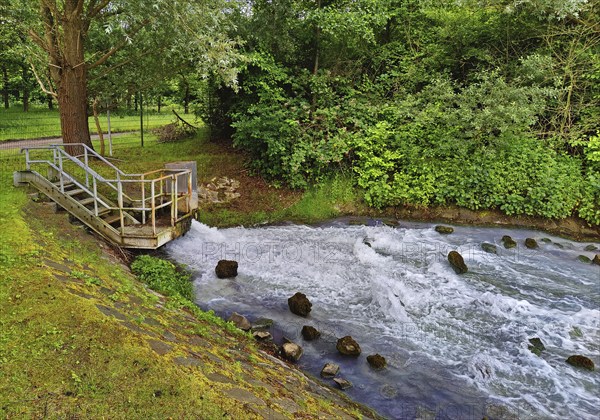 Harpener Teiche, also known as Werner Teiche, tributary of the mineral-rich mine water, Bochum, Ruhr area, Germany, Europe
