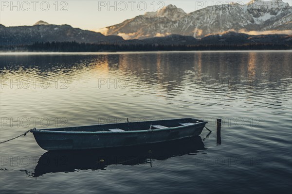 Frosty morning atmosphere during sunrise at Lake Hopfensee in the Allgäu in Bavaria, Germany, Europe