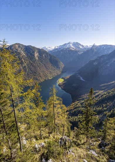 Panoramic view of the Königssee from the Archenkanzel viewpoint, autumnal forest and snow-capped mountains, Berchtesgaden National Park, Berchtesgadener Land, Upper Bavaria, Bavaria, Germany, Europe