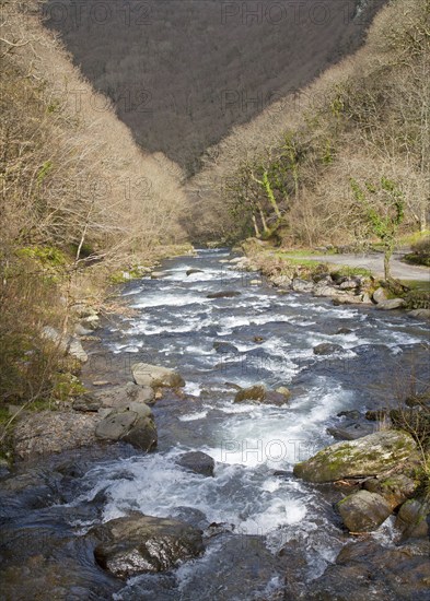 Looking downstream East Lyn River valley at Watersmeet, near Lynmouth, Exmoor national park, Devon, England, United Kingdom, Europe