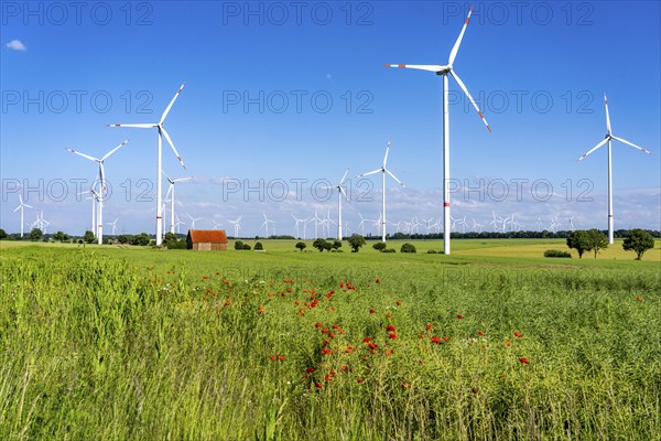 Wind farm north-east of Bad Wünnenberg, Ostwestfalen Lippe, Paderborn district, North Rhine-Westphalia, Germany, Europe