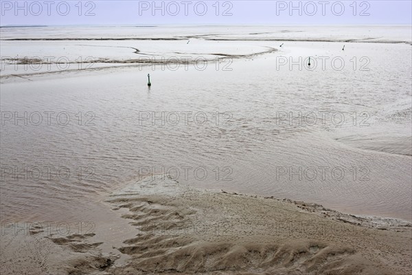 Low tide, mudflats, Dollart, Nieuwe Statenzijl, Netherlands