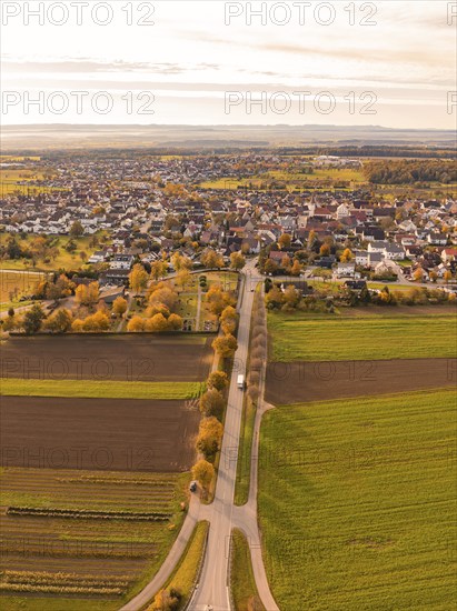 Aerial view of a small town with fields and a long street in warm autumn light, Jettingen, Black Forest, Germany, Europe