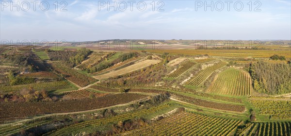 Aerial view, Autumn landscape with vineyards, Pulkautal, Weinviertel, Lower Austria, Austria, Europe