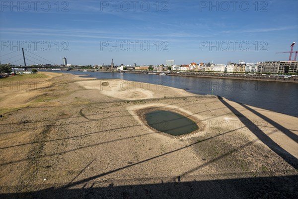 Rhine at Düsseldorf, extremely low water, Rhine level at 81 cm, tendency falling, after a long drought the left bank of the Rhine is dry, at Düsseldorf Oberkassel, view from the Rheinkniebrücke to the Oberkassler Brücke North Rhine-Westphalia, Germany, Europe